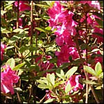 DSCN0063.JPG